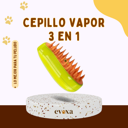 CEPILLO VAPOR HUELLA